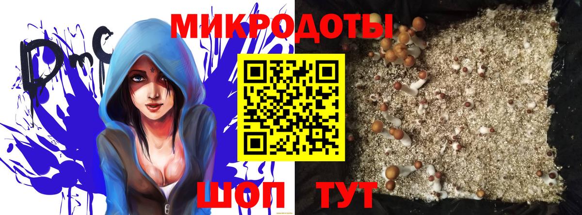 Псилоцибиновые грибы Magic Shrooms  Псилоцибиновые грибы Psilocybe  Гатчина  Вход с VPN 