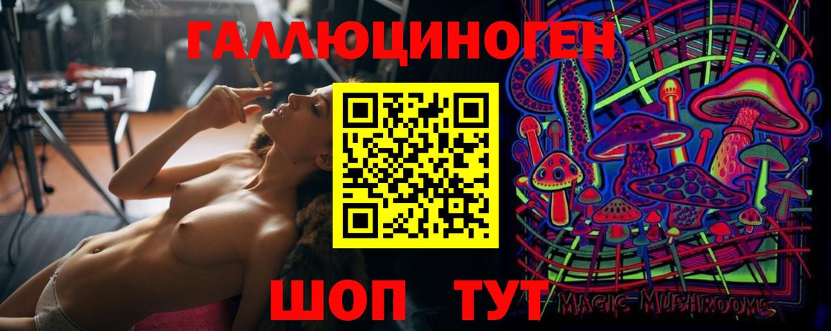 Псилоцибиновые грибы прущие грибы Гатчина